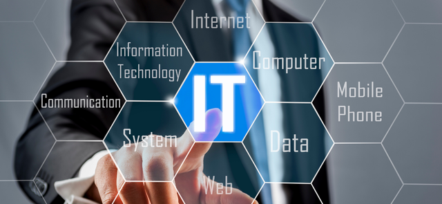 IT Consultancy